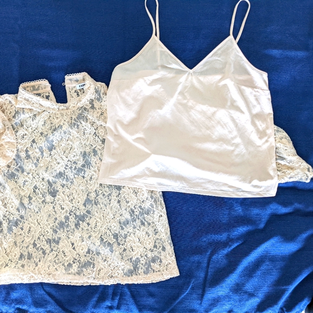 Express, long sleeves, lace blouse.